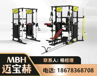 滨州多功能综合训练器