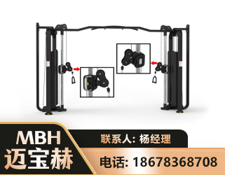 滨州大飞鸟训练器
